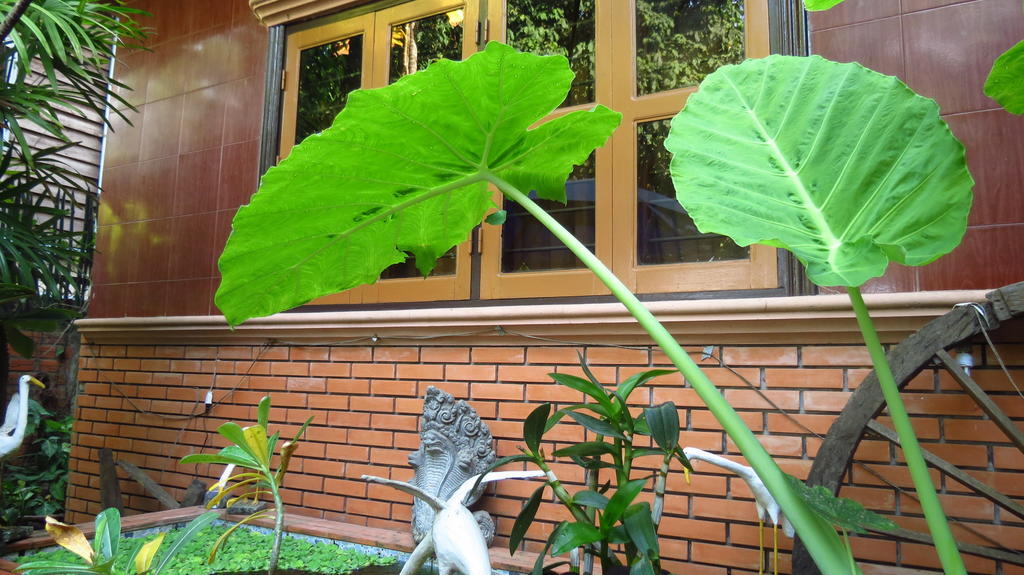 Big Lyna Villa Siem Reap Zewnętrze zdjęcie